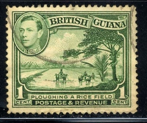 Guayana Británica 1938 1c amarillo verde SG308 KGVI arando un campo de arroz  - Imagen 1 de 1