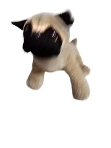 Ganz Webkinz Pug 8" Plush Puppy Dog Stuffed Animal Toy No Code - Picture 1 of 4