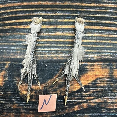 2 Pies de Pollo Reales Par Animal Montaje Bruja Arte Artesanía Pájaro Soportes Vudú Decoración Foto 1 de 4