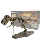 Tyrannosaurus Rex Dinosaur Skeleton Fossil Model Decor Animal Model Toy
