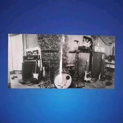 Weezer - (Blue Album) Near Mint Vinyl LP] Record With Poster Buddy Holly 180 Grm - Image 1 of 4