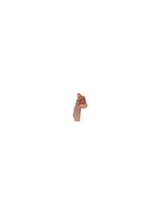 PENE ANTIESTRES - Imagen 1 de 1