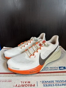 Nike Air Zoom Pegasus 41 'Año de la Serpiente' HV5975 102 Talla 11 - Imagen 1 de 8