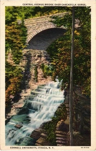 Cartolina d'epoca Cornell University Central Avenue Bridge Cascadilla Gorge 1935 - Foto 1 di 2
