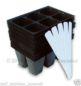 Seedling Starter Trays: 144 Cells + 5 Plant Labels Seed Germination Flats Garden - Picture 1 of 4