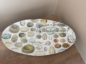 MICHEL Design Works Oval Serving Tray Melamine Platter Plate Bird Eggs 19"x 10" - Picture 1 of 14
