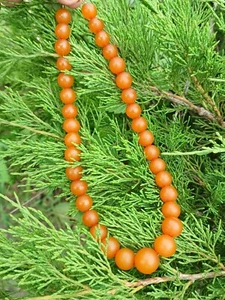 Perline originali d'epoca in ambra baltica naturale colore miele URSS 32 gr. - Foto 1 di 9