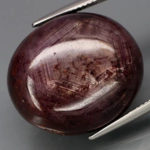 67,59 quilates ¡SIN CALEFACCIÓN! Rubí rojo púrpura natural JUMBO Winza, cabujón ovalado Tanzania - Imagen 1 de 4