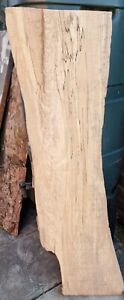  Live Edge spalted Beech Hardwood Slab hardwood board ' waney edge slab  #040