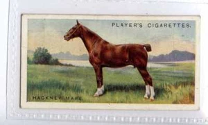 (Je4691) PLAYERS,LIVESTOCK,HACKNEY MARE,1925,#13 - Picture 1 of 2