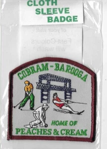 VINTAGE CLOTH BADGE 30 - Picture 1 of 1