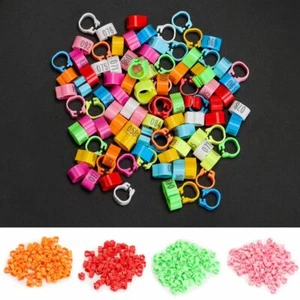 100pcs Leg Bands Plastic Chicken Pheasant Poultry Duck Bird Leg Rings ID Tags - Picture 1 of 17