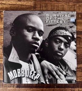Mobb Deep – Survival Of The Fittest Original 1995 Press 12" In Picture Cover VG+ - Picture 1 of 2