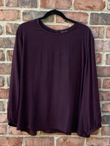 NWT EILEEN FISHER CASSIS Silk Georgette Crepe Top with Sheer Sleeves $278 1X - Picture 1 of 9