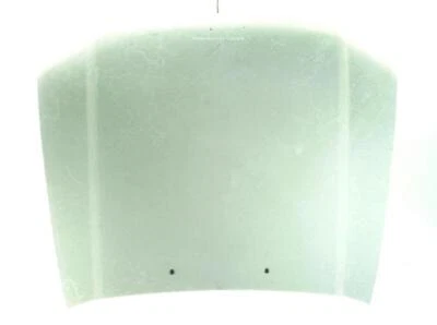 capot pour FORD RANGER (ET) 2.5 TDCI 4X4 2005 20271411 - Photo 1/3