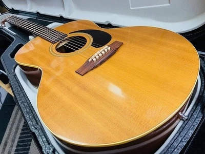 Akustikgitarre Seagull MJM6 Mini Jumbo Godin seltenes Modell mit... - Bild 1 von 4