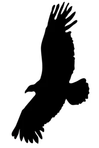 4x Vogel Aufkleber Warnung Stop Vögel schlagen ins Fenster - Bild 1 von 24