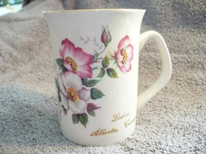 WX- TAZA DE CAFÉ LEDUO ALBERTA CANADA (ROYAL WINTON) #52573 - Imagen 1 de 9