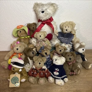Lote de 15 peluches vintage Boyds Bears la mayoría con etiquetas Love Spring Fall pequeños a medianos - Imagen 1 de 15