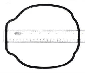 Genuine OEM Hayward SPX3200T TriStar EcoStar Pool Pump Housing Gasket O-Ring   - Picture 1 of 2