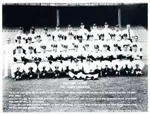 1961 New York Yankees Baseball World Series Champions 8x10 Photo - Picture 1 of 1