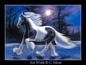 Gypsy Vanner Pferd Mond Nacht Wald ACEO limitierte Auflage Miniatur Kunstdruck - Bild 1 von 1
