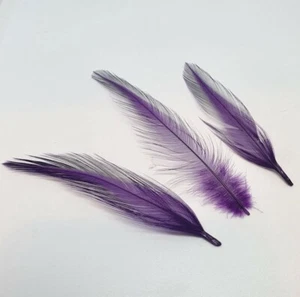 GALLO VIOLA / COCK HACKLE 50 PIUME FLYNSCOTSMAN TACKLE SCIOLTO - Foto 1 di 2