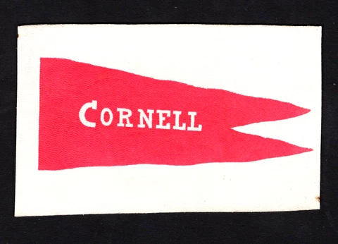 1900 CORNELL UNIVERSITY FOOTBALL POSTCARD PENNANT PRINTED ON FABRIC Cover