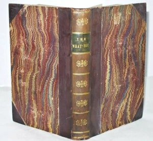 * Rare * The What-Not or Ladies' Handy-Book 1861 - Imagen 1 de 11