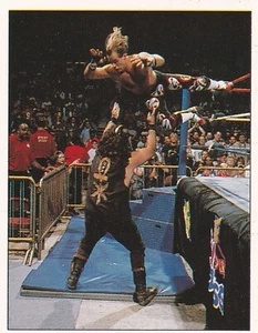 Shawn Michaels & Mankind Mick Foley 1997 Panini WWF Rookie Card 25 WWE RC Legend - Picture 1 of 24