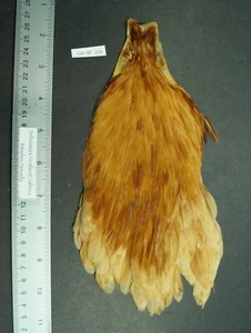 Keough Commercial Hen Natural Ginger Cape/Neck Fly Tying/Crafts Lot-SF 239 - Picture 1 of 8