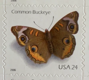Scott 4000, A3053, 2006 USPS Common Buckeye, $0.24, sheet of 20 - Picture 1 of 4