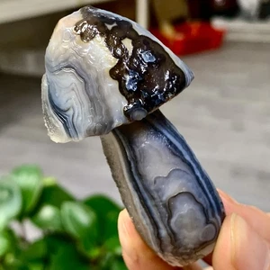 69G Natural Gobi Thousand Eyed Agate mushroom Shape Reiki Chakra Healing - Picture 1 of 21