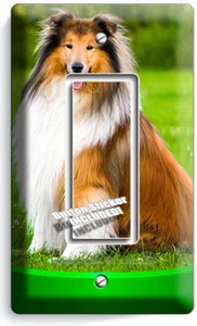 WUNDERSCHÖNER ROUGH COLLIE HUND 1 GFI LICHTSCHALTER WANDPLATTE PFLEGE HAUSTIERSALON DEKOR - Bild 1 von 1