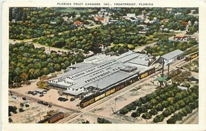 1930er Frostsicher Florida Obstkonserven Luftbesetzung Kropp Postkarte 25-5034 - Bild 1 von 2