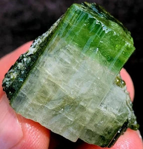 128CT WOW! Muestras minerales de cristal de turmalina verde natural crudo/Schorl ee1305 - Imagen 1 de 12