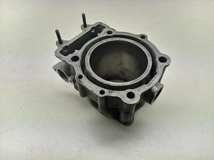 Arctic Cat Wildcat 1000 Engine Cylinder No Piston Assembly 0804-031 0804-064 - Picture 1 of 6