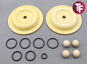 Kit riparazione lato bagnato compatibile Aro 637140-EB - PTFE e Santoprene - Enviroflex - Foto 1 di 13