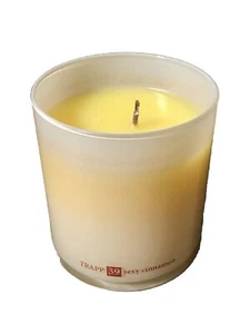 Trapp Fragrances 8,75oz Kerze Nr. 39 Sexy Zimt Aramäische Gewürze Blonde Hölzer - Bild 1 von 6
