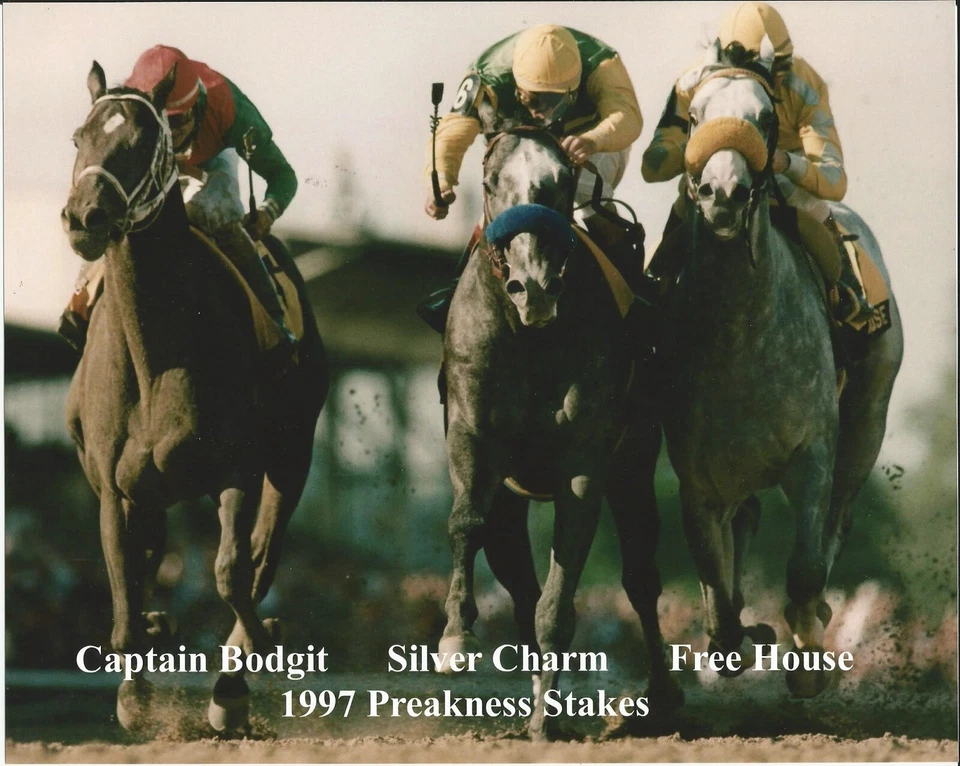1997 - ENCANTO PLATEADO - CAPITÁN BODGIT - CASA LIBRE en Preakness Stks - 10" x 8" Foto 1 de 1