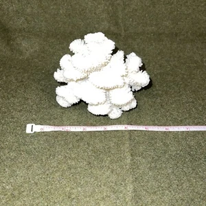 6” White Coral Cluster Ocean Aquarium Decor Nautical Sea Natural Dried Fossil - Picture 1 of 7