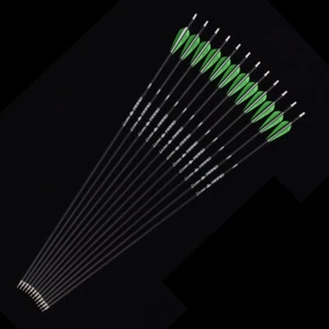 12P 30" Mix Carbon Arrows Archery Target Hunting Practice Arrow Shooting - Picture 1 of 7