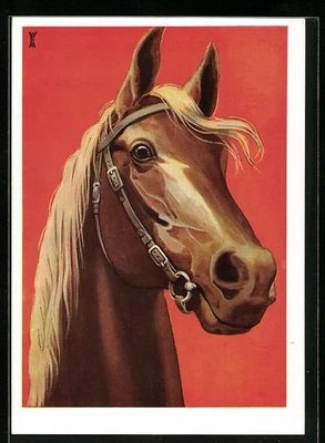 Ansichtskarte Reitpferd mit blonder Mähne  - Bild 1 von 2