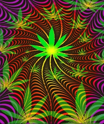 Plush Queen Size Marijuana Blanket - Extremely Soft - Sativa Twist - Image 1 of 3