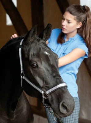 Catago Exklusiv Halfter schwarz silber  Pony Stallhalfter Show Sympatex  Tunier  - Bild 1 von 4