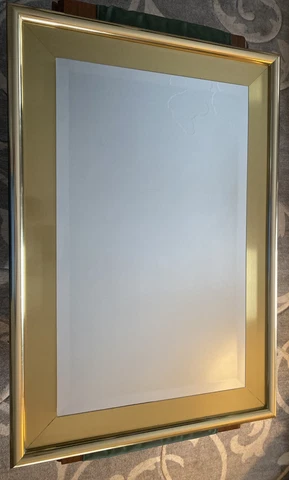 AUTUMN GUILD Mid Century Modern Brushed Copper/Brass  Beveled Mirror Vintage Cover