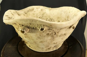 Chinese Southern Song Dyn. White Lotus Blossom Bowl.Shipwreck Treasure 1127-1279 - Picture 1 of 9