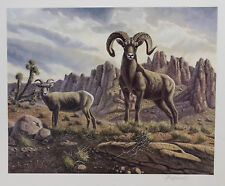Sierra Nevada Bighorn by Bo Newell 20x24" Limited Edition Signed Print