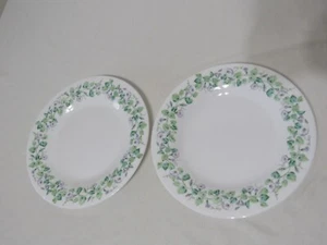 Martha Stewart Morning Glory Bruchfestes Glas 8" Zoll Platte 2 Teller - Bild 1 von 6