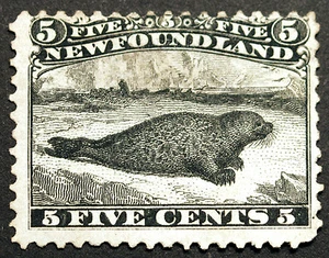 Newfoundland #26 5c Black 1868 perf 12 Unused without Gum Lightly Hinged Rich - Picture 1 of 1